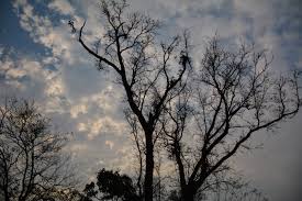 Andro is one of the must-visit places in Manipur