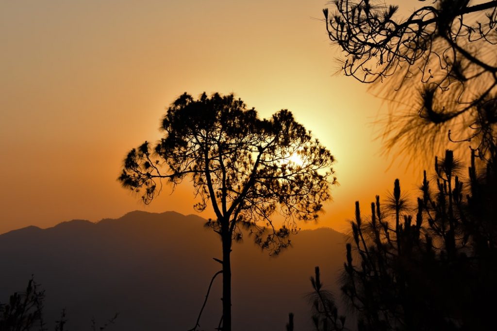 Chail