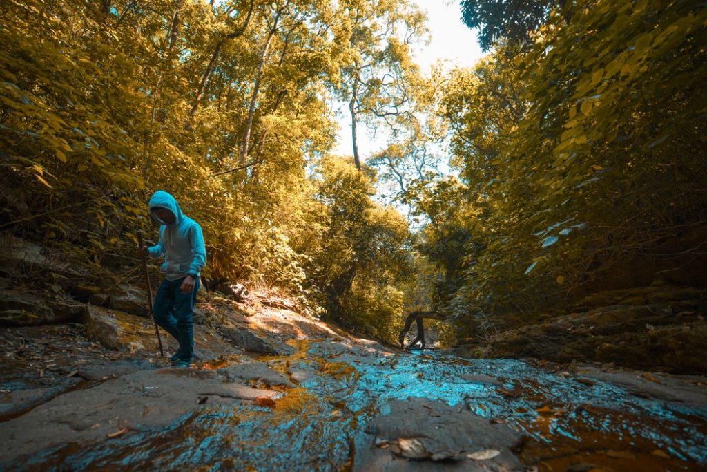 Wayanad