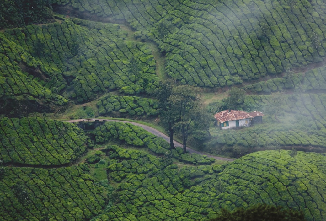 travel photography courses in kerala