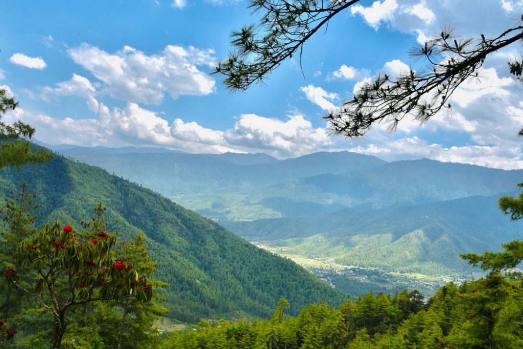 Scenic Paro