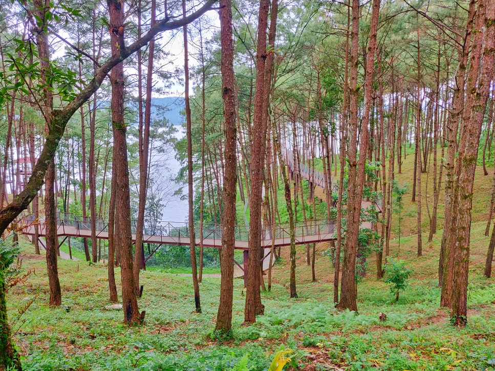 Shillong