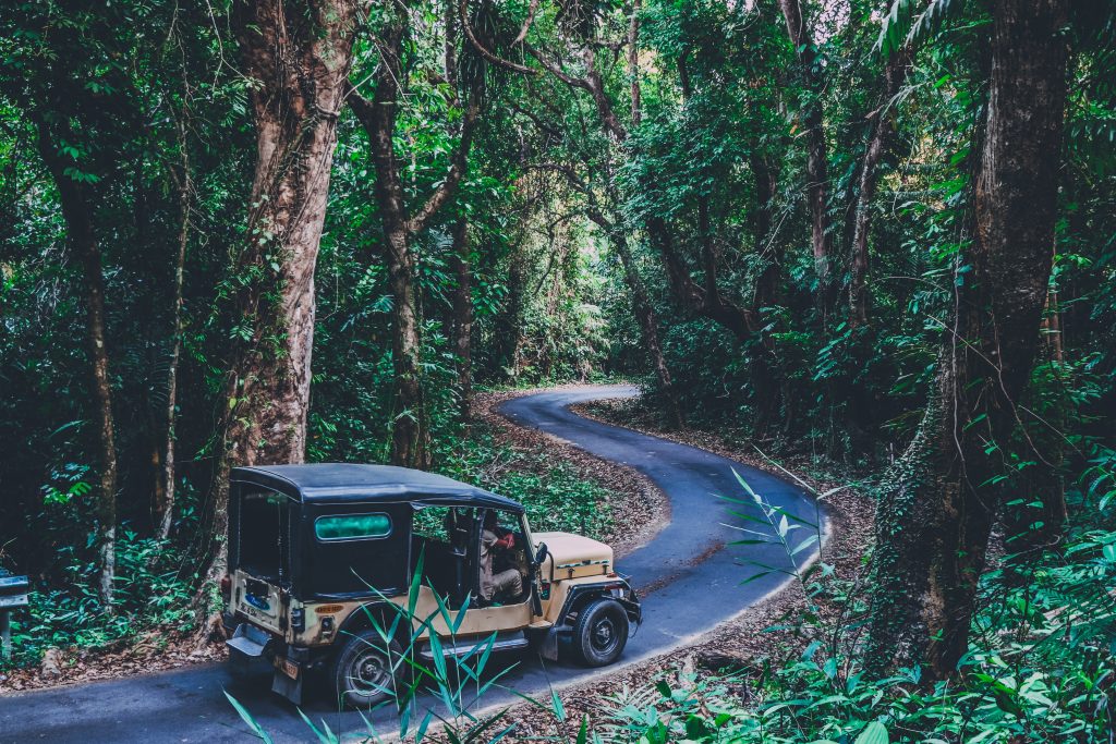 Driving through the ghats
