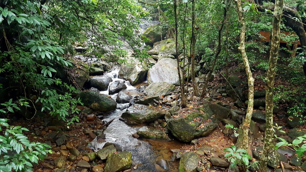 A picture of a waterfall in Wayanad