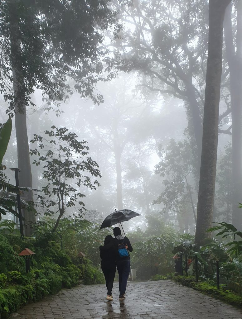 A romantic click of a couple in Kerala