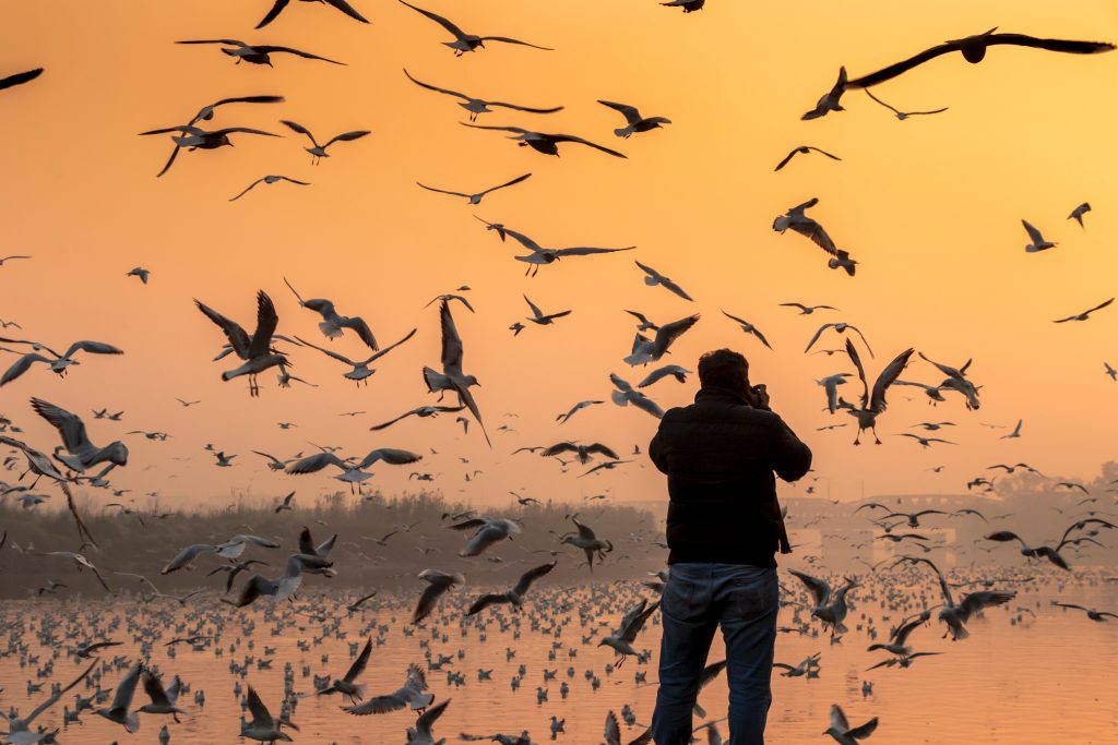 Sultanpur National Park
