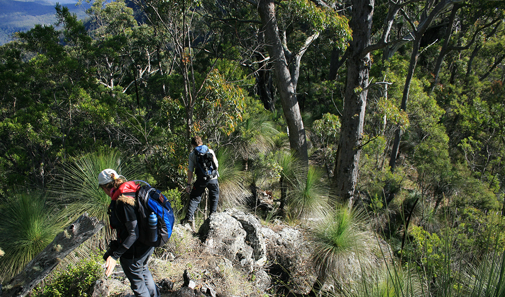 Scenic Rim Trail, Queensland, Australia