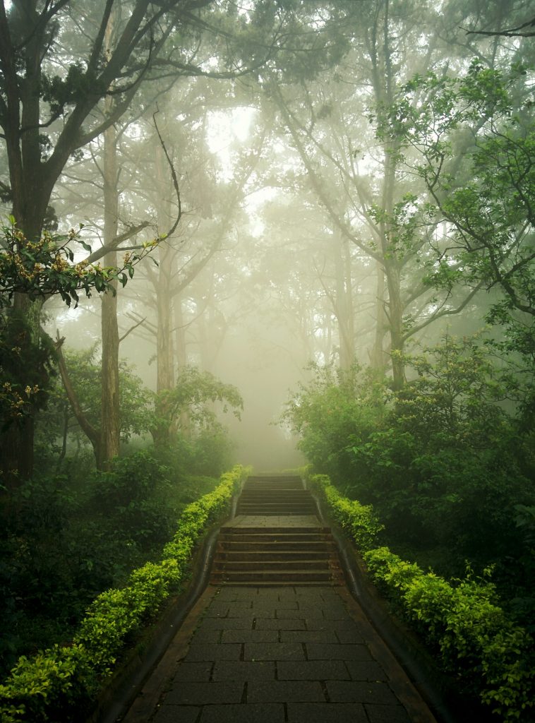 Family resorts in Bangalore