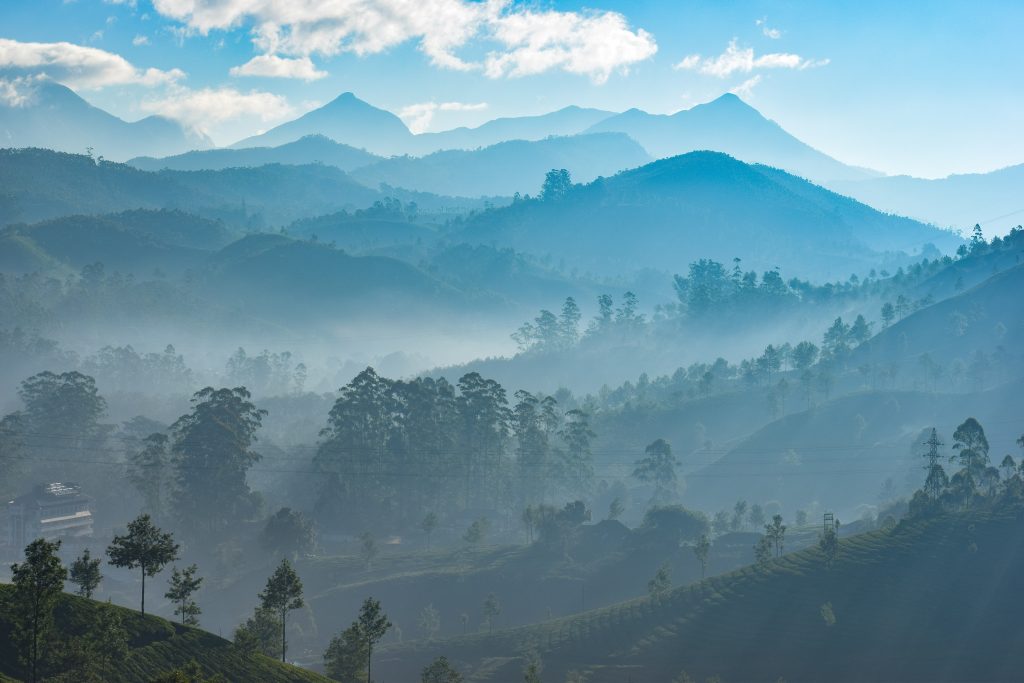 Misty mountains in Munnar in Kerala