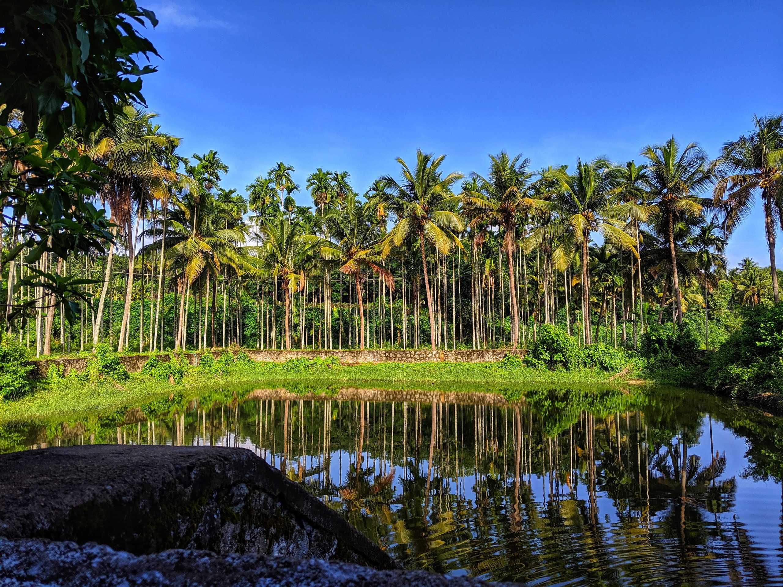 best-time-to-visit-kerala-in-2021-knowing-god-s-own-country