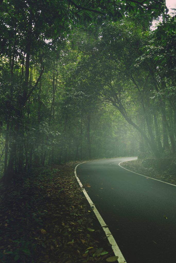 A beautiful click of Monsoon in Kerala