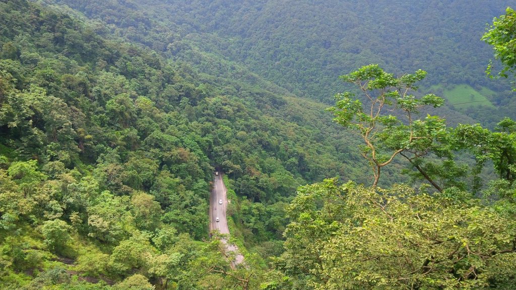 The Panoramic view of the City, Wayanad