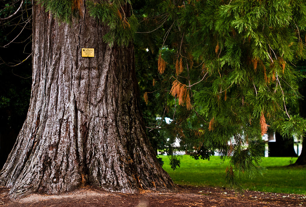 Ballarat Botanical Gardens