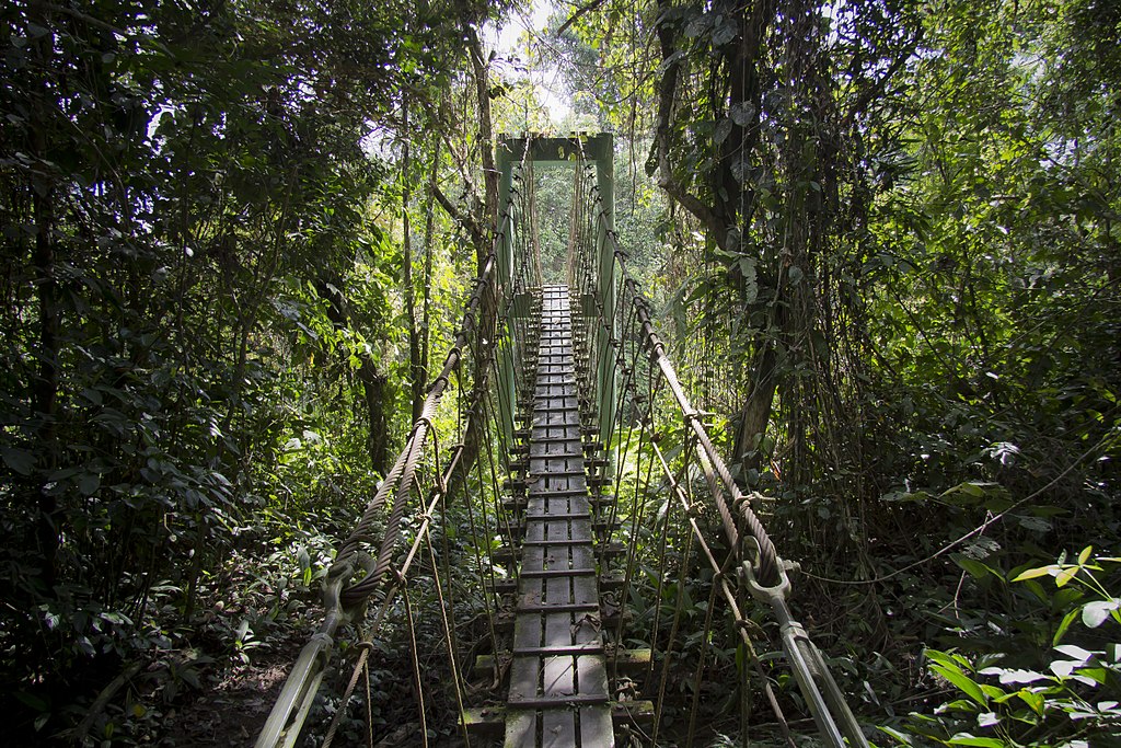 Gunung Mulu