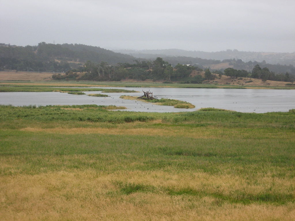 Tamar Island Wetlands