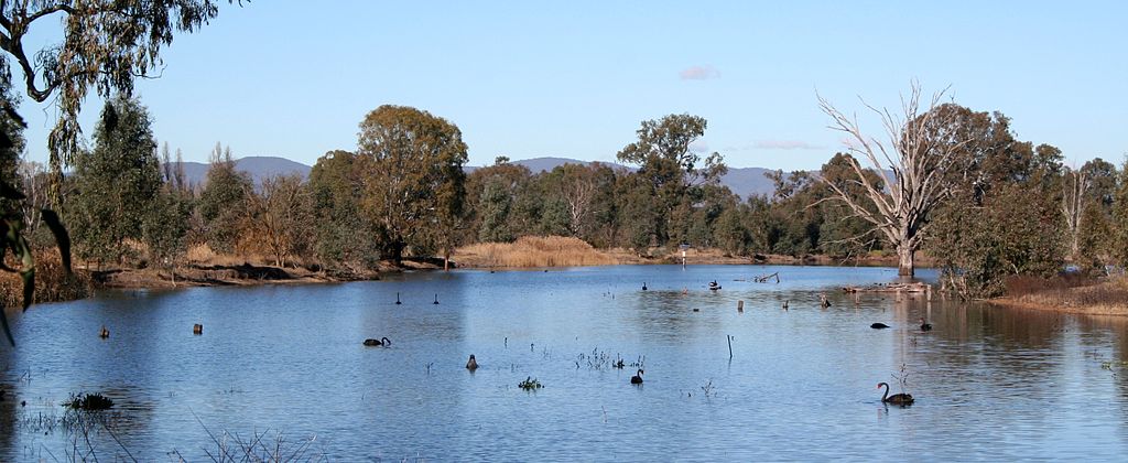 Wonga Wetlands