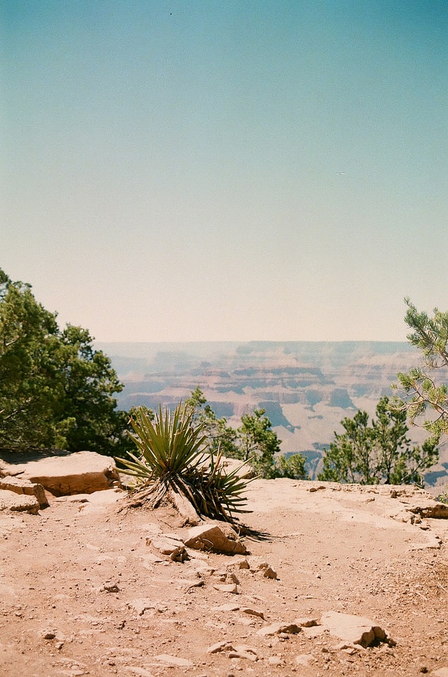 rocky terrain of Arizona