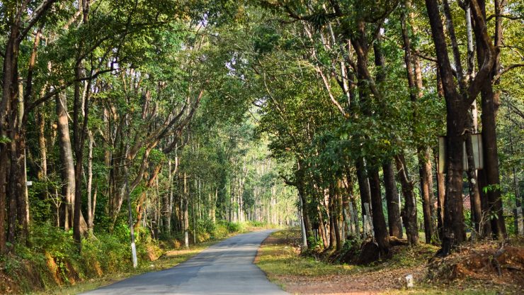 Resorts in Sakleshpur: Your guide to choosing the perfect stay