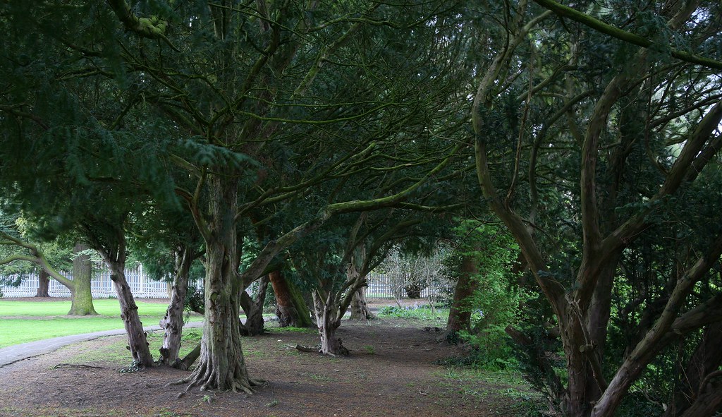 Garth Park