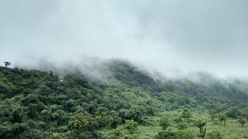 Baba Budangiri, Chikmagalur
