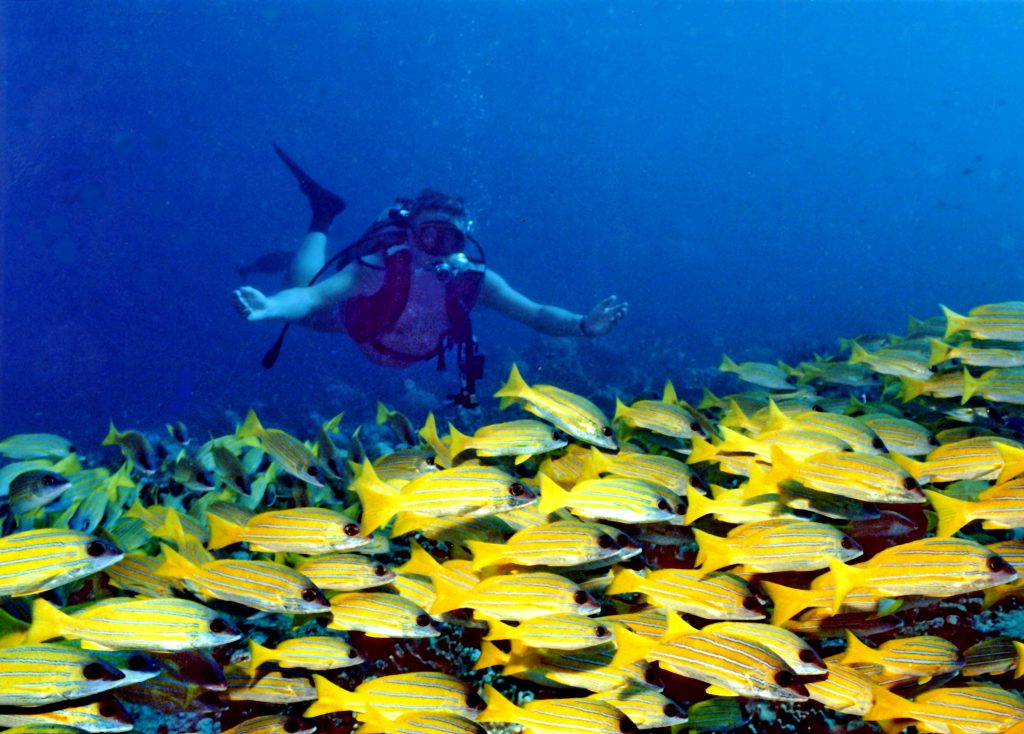A person enjoying a watersport at Banana Reef