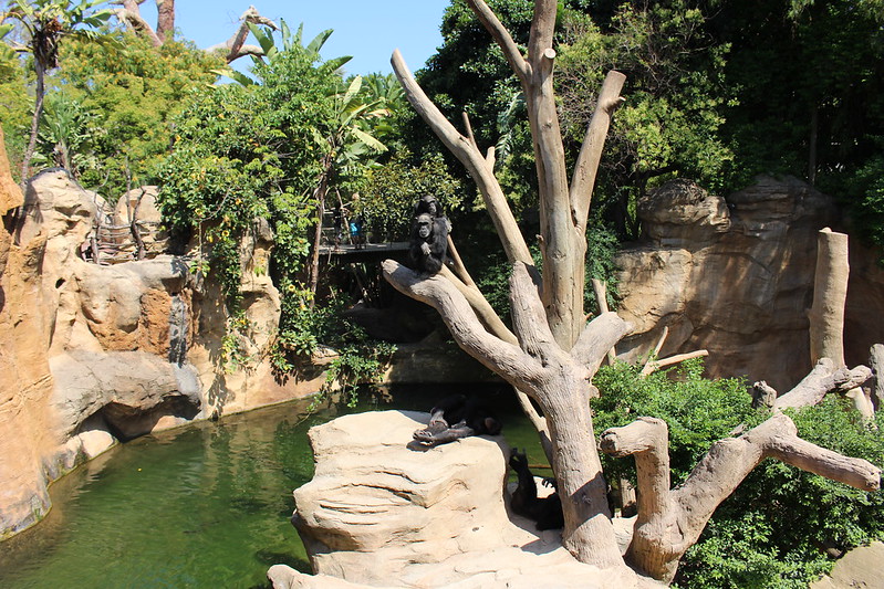 Bioparc Fuengirola at Costa del Sol