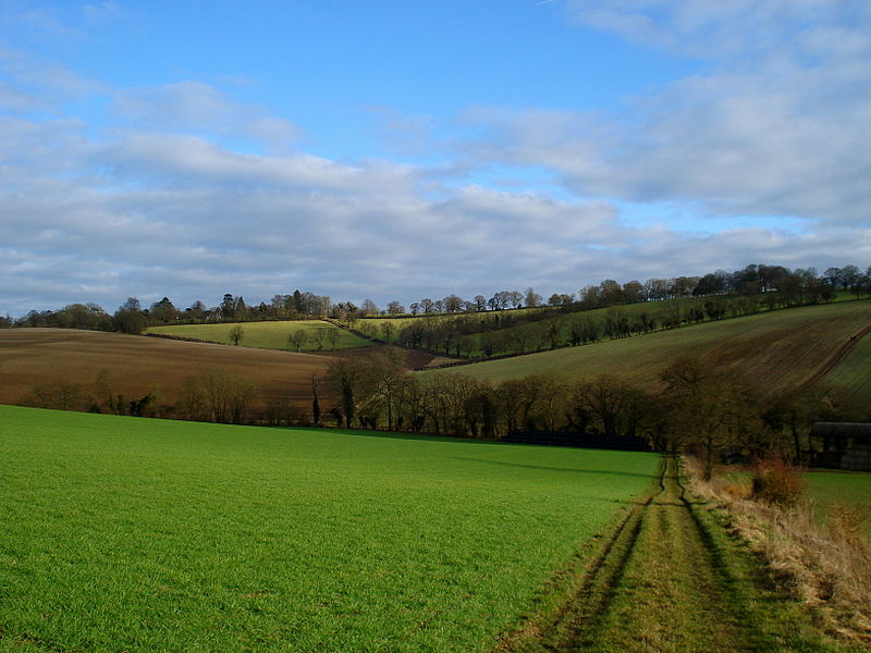 Chiltern Hills