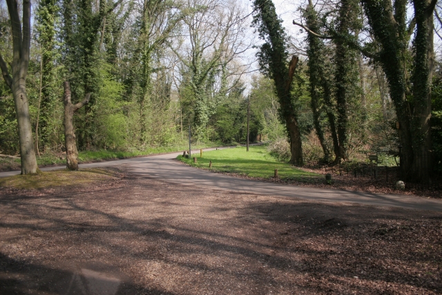 Marlow Common
