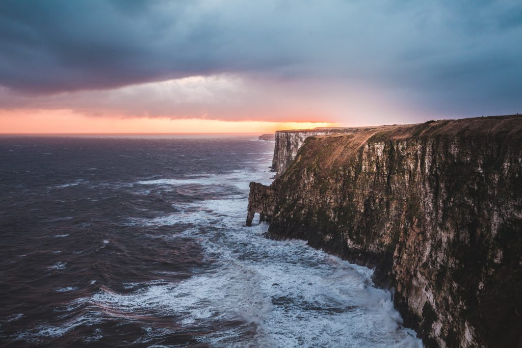 RSPB Bempton Cliffs
