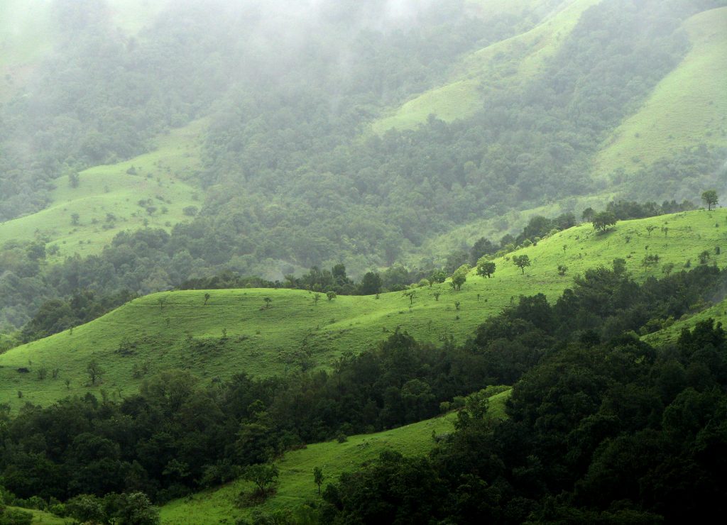 Kudremukh National Park, Chikmagalur