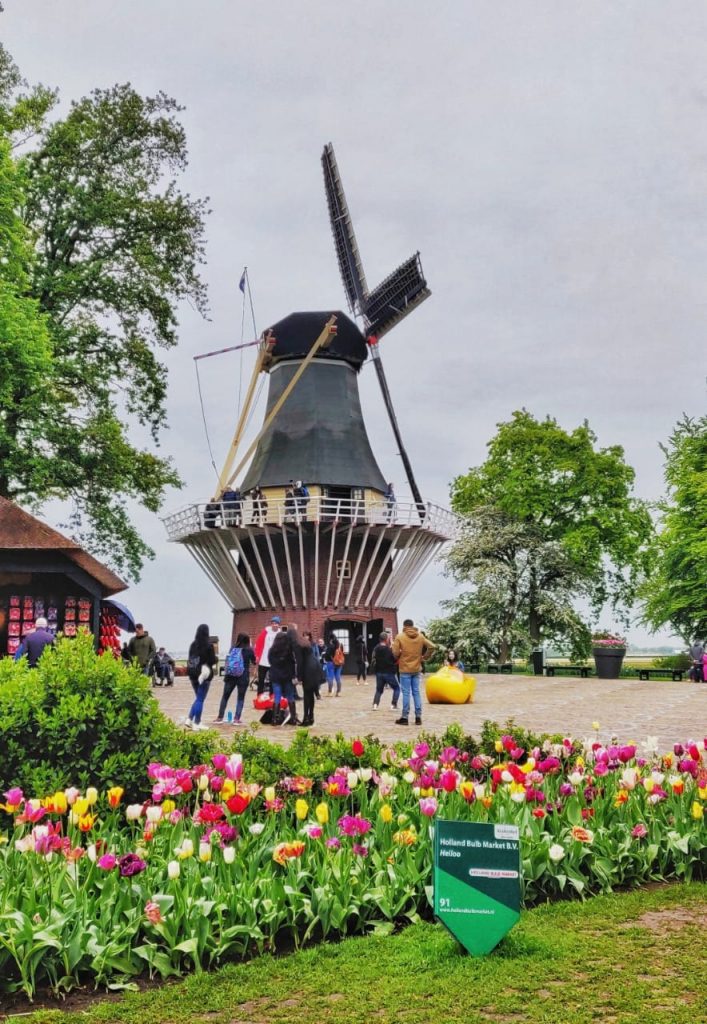 A picture that was taken in the Netherlands, on a happy vacation