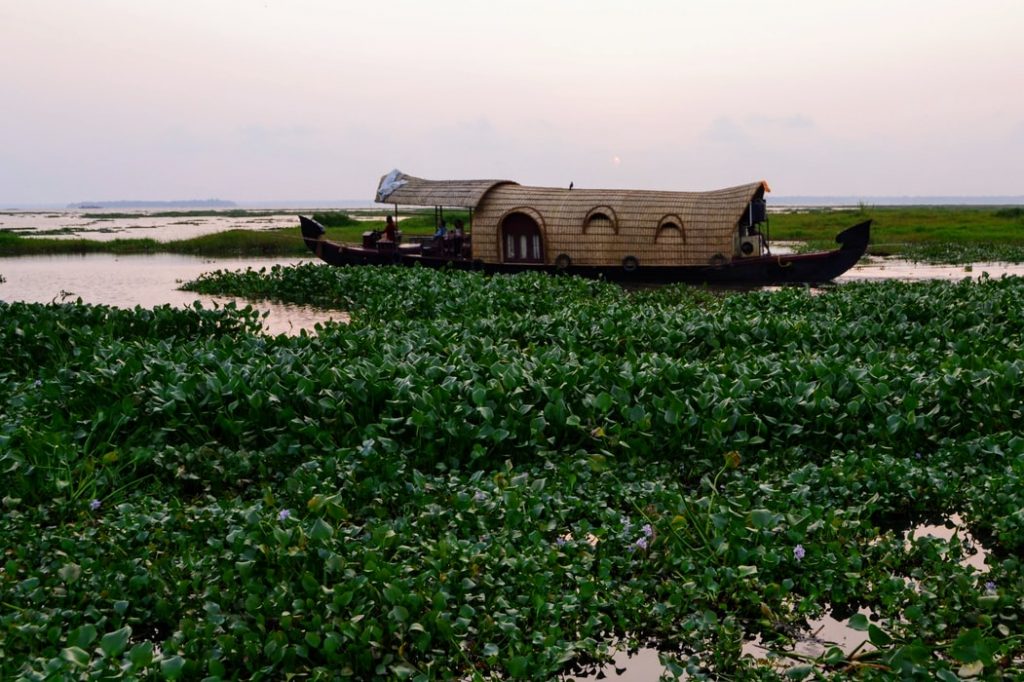 house boat in alleppey