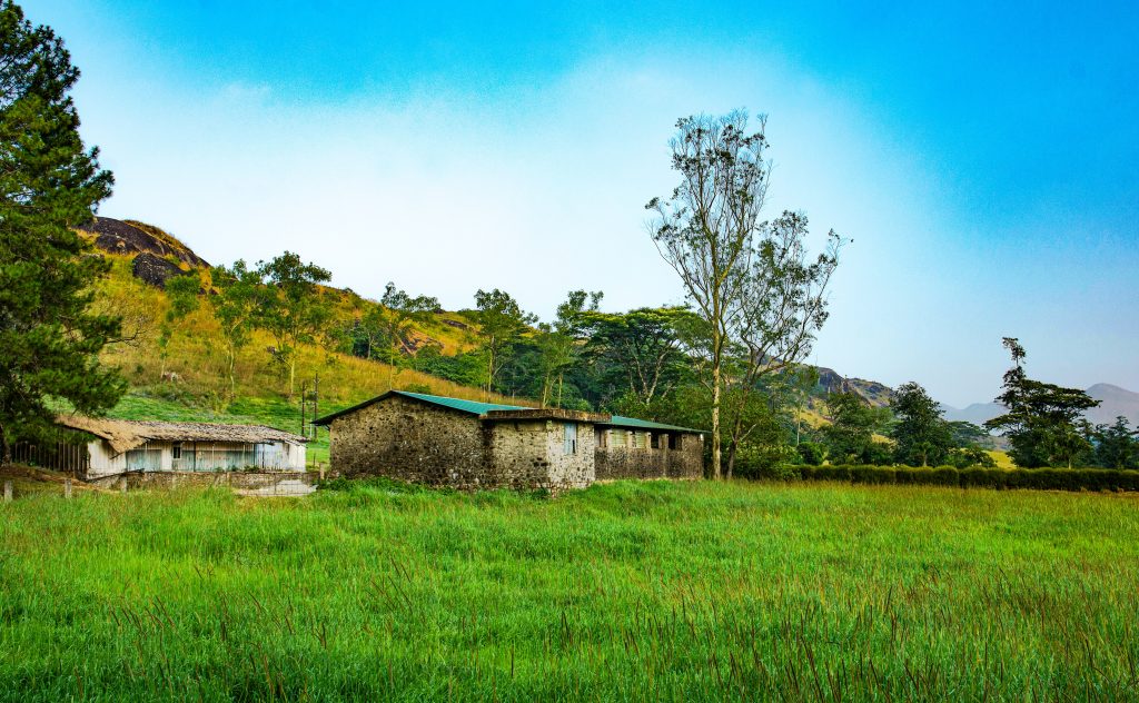 Houses gracefully located amidst greeneries in Vagamon in Kerala