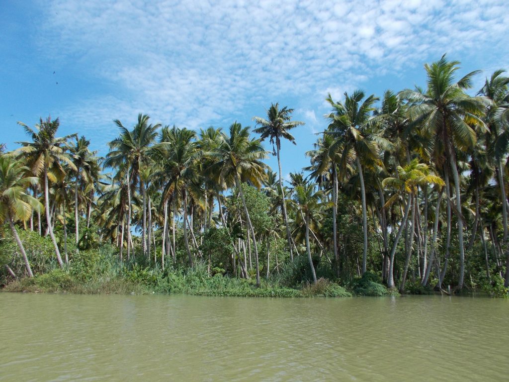 Backwaters Poovar Trivandrum