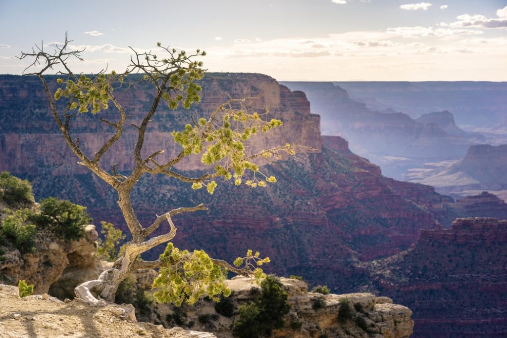 grand canyon