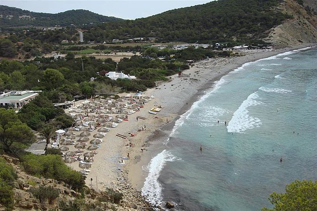 aerial view of the beach