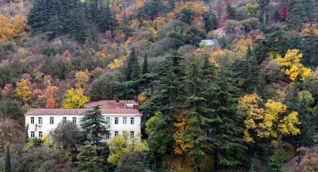 Things to See and Do in Adjara