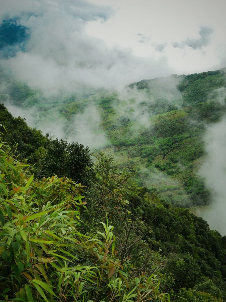 Greenery of Mawlynnong in Meghalaya