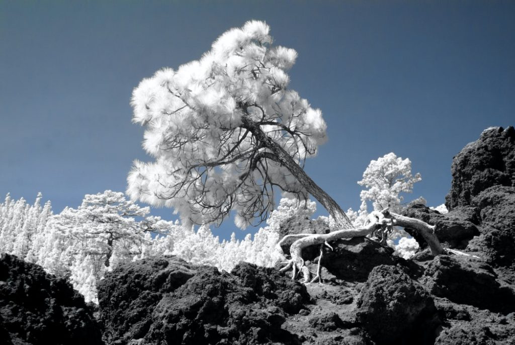 Teide National Park