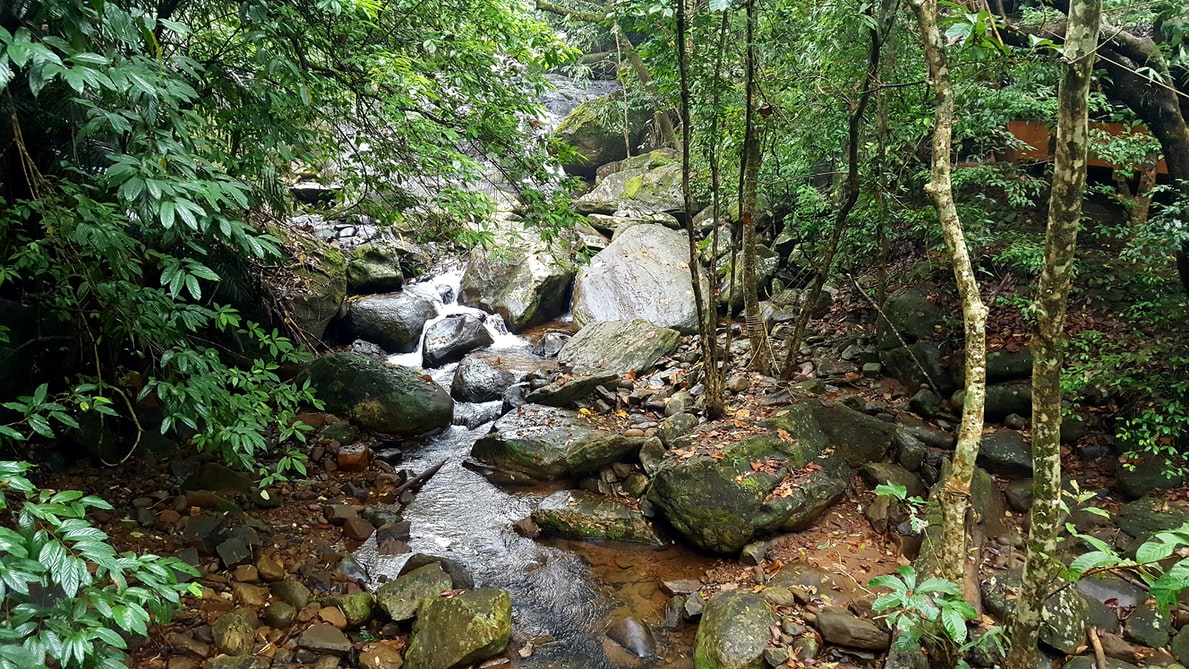 Attractions in Vythiri - Where nature gives you a hug