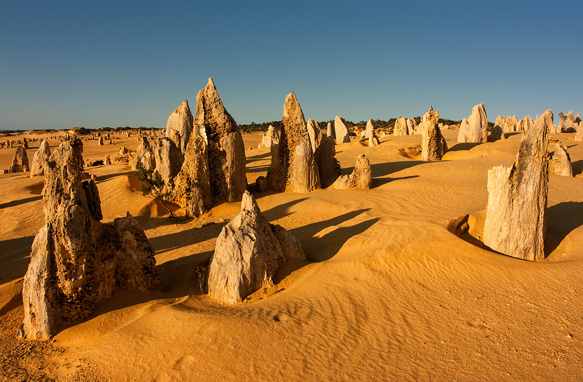 One-Stop Guide On Pinnacles In Western Australia: Visit Mars On Earth
