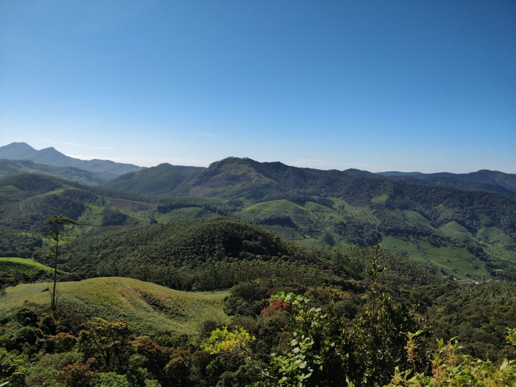 Eravikulam National Park