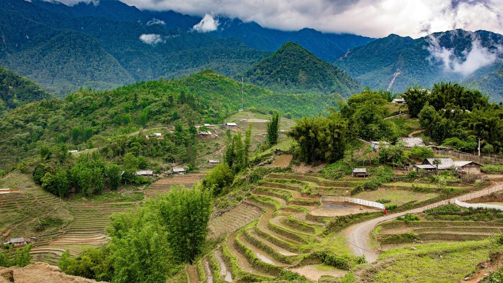 Sapa
