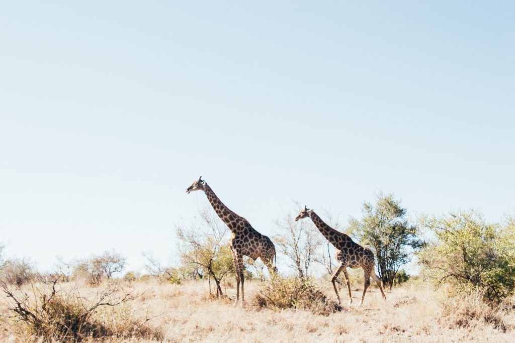 South Africa