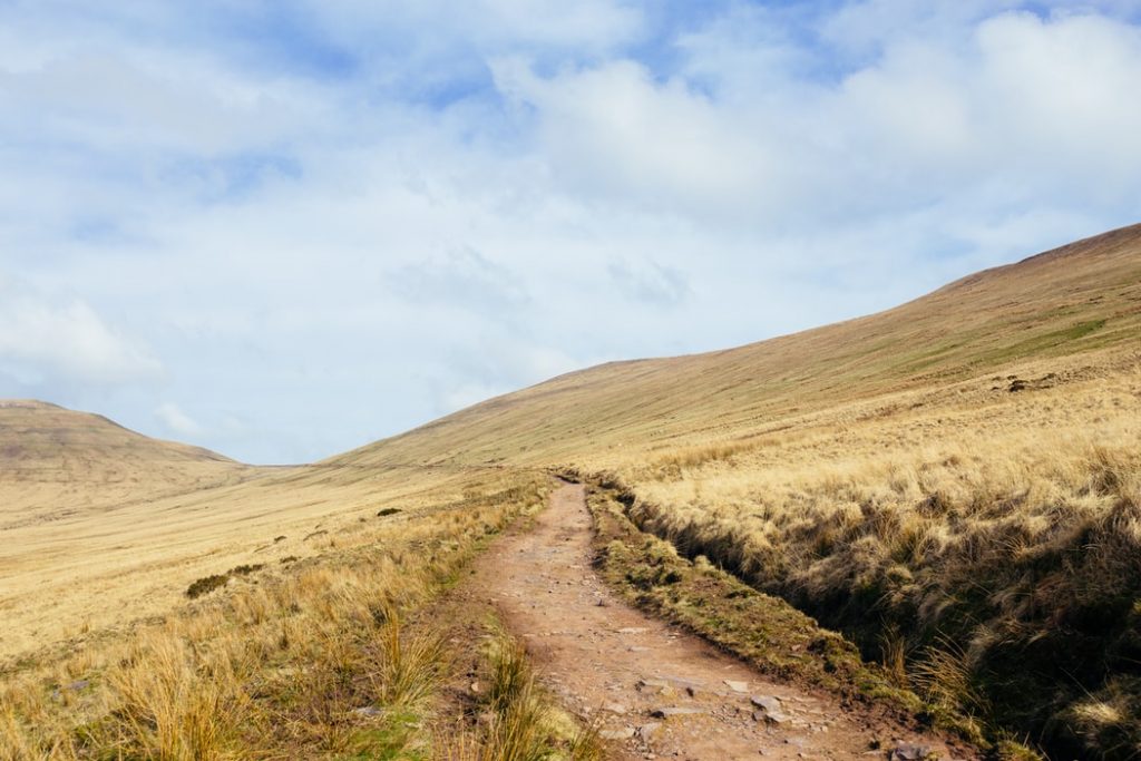 a pathway in the National Park