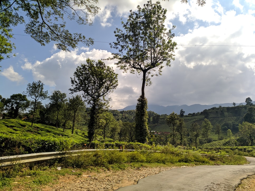 a road in wayanad
