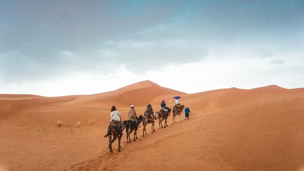 Camel ride in Thar desert
