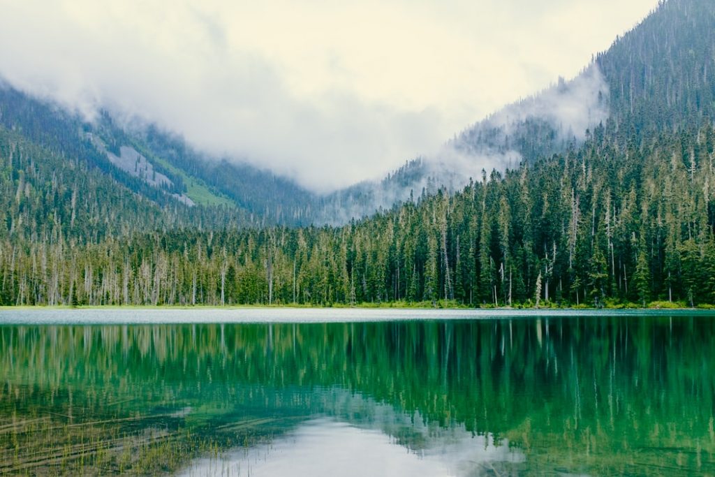 Mountain clad lake