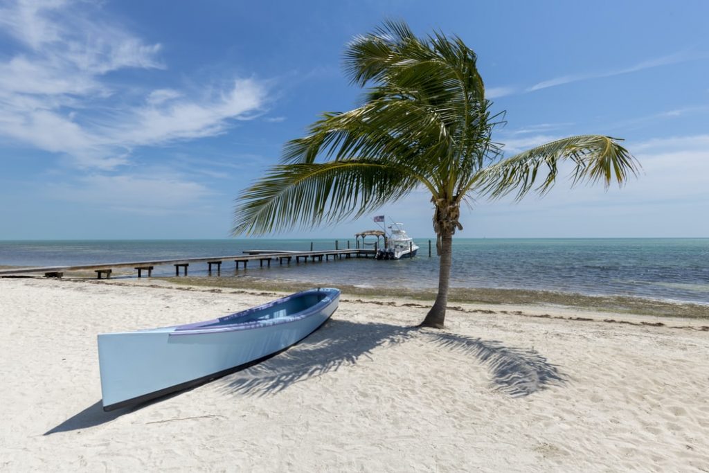 Boat under coconut tree