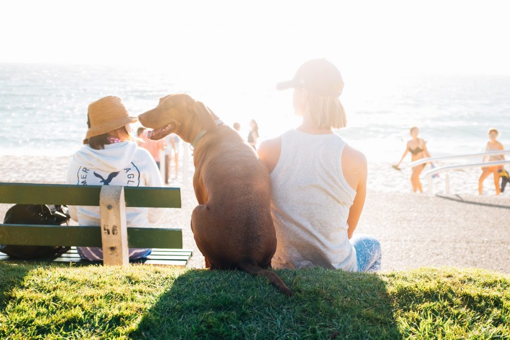 Picnic at the Cottesloe Beach